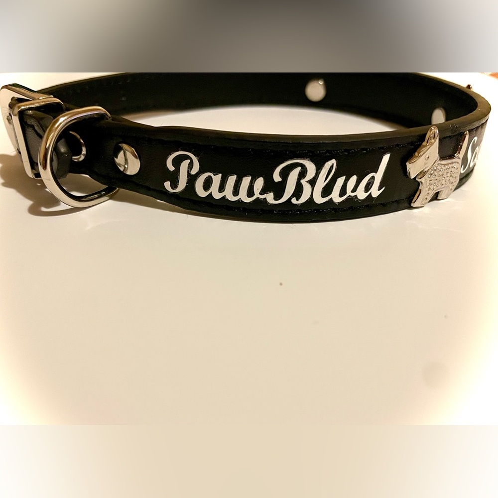 PawBlvd Dog Collar - Black